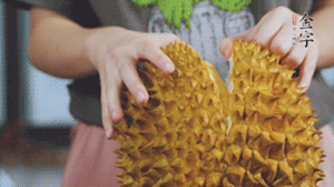 榴蓮剝好肉后，搗成泥狀。