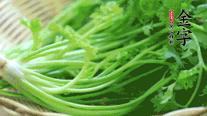 挑選鮮嫩的香菜，洗干凈后，處理成小段。