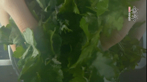 【面皮】1.鍋中水開(kāi)時(shí)，放挑揀好的艾草和一撮小蘇打，第一遍煮開(kāi)后倒掉，重新加水大火煮開(kāi)后，小火煮1小時(shí)。煮爛的艾草用紗布瀝干。