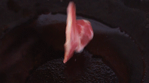 鍋中倒入橄欖油燒熱，放入淡火腿小火煸炒至打卷狀態(tài)。