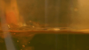 雞肉、鹽、料酒入冷水鍋水開后撇去浮沫，溫水洗凈。