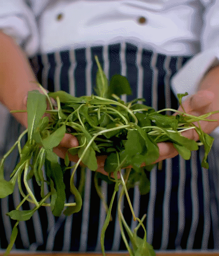 馬蘭頭焯水，切成細(xì)末。